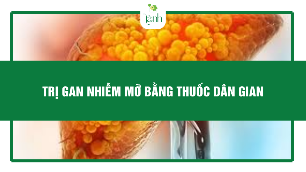 trị gan nhiễm mỡ bằng thuốc dân gian