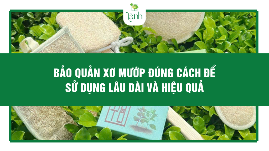 Bảo Quản Xơ Mướp Đúng Cách Để Sử Dụng Lâu Dài Và Hiệu Quả