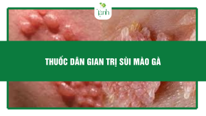 thuốc dân gian trị sùi mào gà