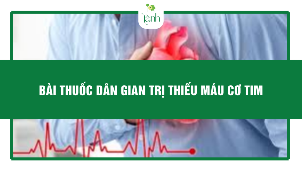 bài thuốc dân gian trị thiếu máu cơ tim