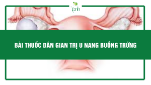 bài thuốc dân gian trị u nang buồng trứng