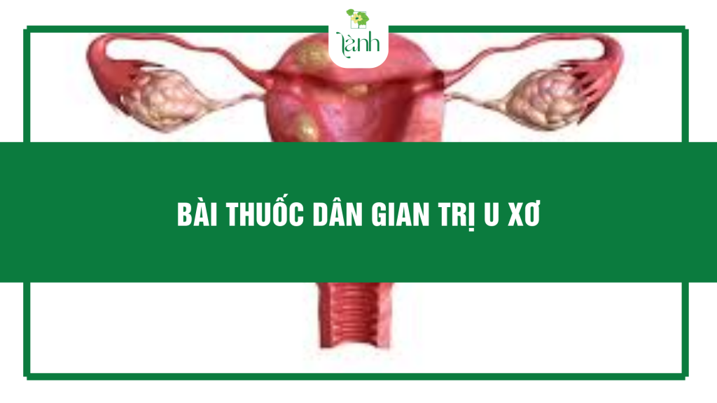bài thuốc dân gian trị u xơ