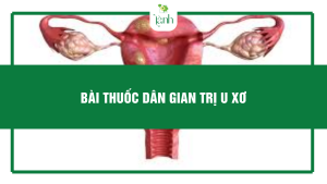 bài thuốc dân gian trị u xơ