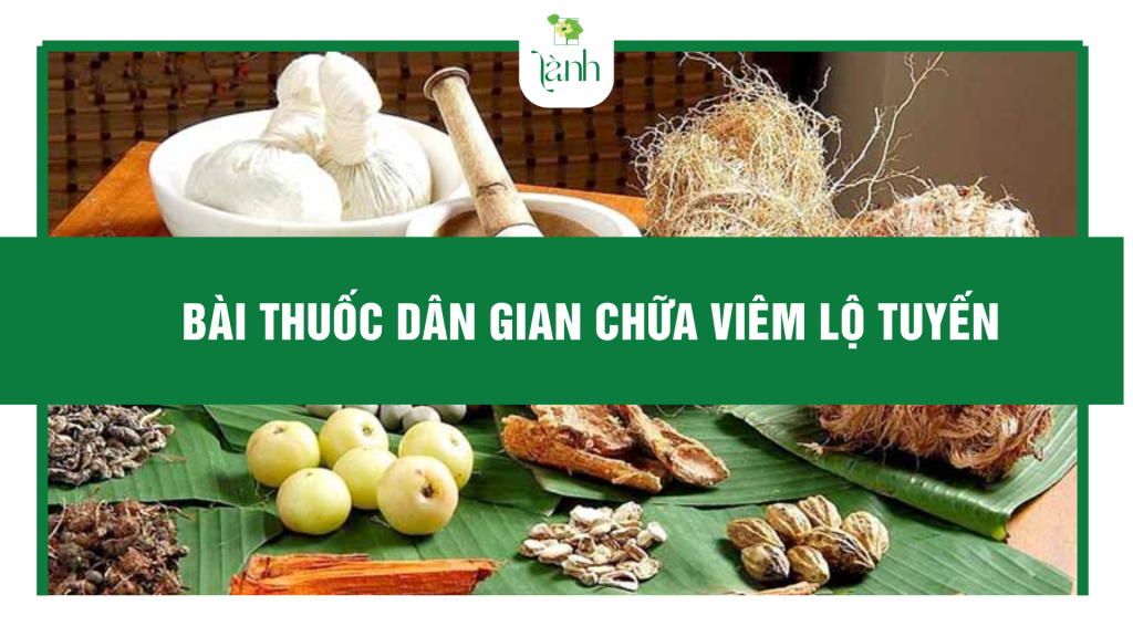bài thuốc dân gian chữa viêm lộ tuyến