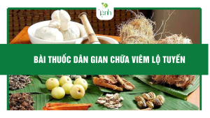 bài thuốc dân gian chữa viêm lộ tuyến