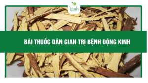 bài thuốc dân gian trị bệnh động kinh
