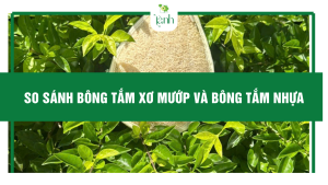 Bông tắm xơ mướp