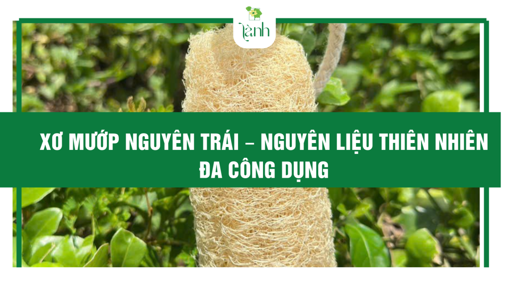 xơ mướp nguyên trái